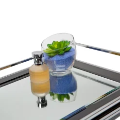 Home Details Vanity Tray With Mirror Finish -Camden Isle Sales Shop 3731845 ALT4