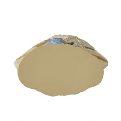 SKL Home Sea Drift Soap Pump 11 SKL Home Sea Drift Soap Pump -Camden Isle Sales Shop 5493635 ALT4