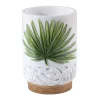 Avanti Viva Palm Tumbler 2 Avanti Viva Palm Tumbler -Camden Isle Sales Shop 5764255